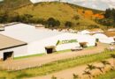 Cooabriel amplia horizontes e se une à Amcham-Brasil para impulsionar inovação e negócios