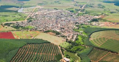 Pinheiros desponta entre os principais polos agrícolas do ES