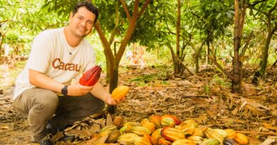 Secretaria de Agricultura abre inscrições para curso de produção de chocolate Bean To Bar