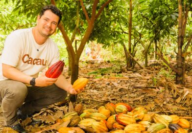 Secretaria de Agricultura abre inscrições para curso de produção de chocolate Bean To Bar