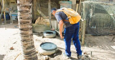 Prefeitura intensifica orientações para prevenir proliferação do Aedes aegypti em Jaguaré