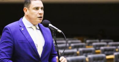 Projeto para punir adolescentes que praticarem violência grave contra animais